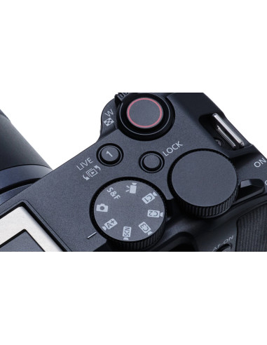 R50 V + RF-S 14-30mm f/4-6.3 IS STM PZ